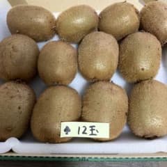 k*読様 新鮮キウイ 12個入りのサムネイル