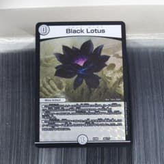 ブラックロータス bbpのサムネイル