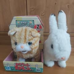 あかちゃん スコティッシュのサムネイル