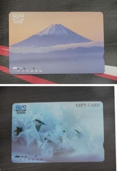 使用済 QUOカード クオカード 5000円×2枚(10,000円分) 使用済 QUOカード クオカード 5000円×2枚(10,000円分) - メルカリ