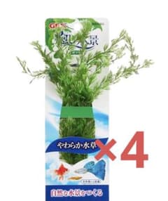 癒し水景　マツモ　　4つセットのサムネイル