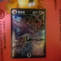 黄金龍 鬼丸「王牙」のサムネイル
