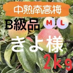 46 きよ様　中熟南高梅　訳あり　MLサイズ　2kgのサムネイル
