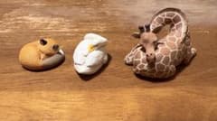 ZooZooZoo まあるく寝 フィギュア 3種セットのサムネイル
