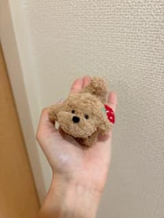 いちごポシェット付き♡トイプー ハンドメイド/モールアート/モールドールのサムネイル