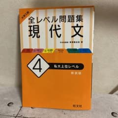 大学入試 全レベル問題集 現代文 4 私大上位レベルのサムネイル
