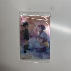HUNTER×HUNTER ゴン＆ヒソカ メタリックカードのサムネイル
