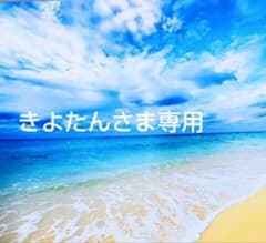 きよたんさま専用ページです(⁠人⁠ ⁠•͈⁠ᴗ⁠•͈⁠)のサムネイル