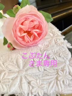 こぷたん　さま専用ですのサムネイル