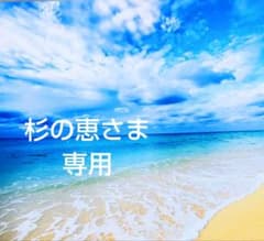 杉の恵さま専用ページです(⁠^⁠^⁠)のサムネイル