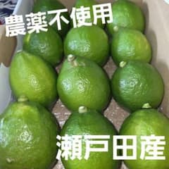 広島県瀬戸田産　グリーンレモン　農薬不使用のサムネイル