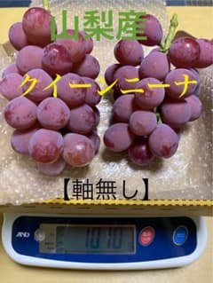 クイーンニーナ軸無　箱込み1㌕のサムネイル