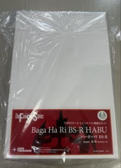 アワートレジャー 1/100 バーガ・ハリBS-R HABU GTM 谷明原型 - メルカリ