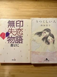 無印失恋物語 & うつくしい人 セットのサムネイル