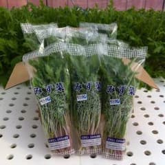 【期間限定】無農薬野菜 水菜150g×10袋のサムネイル