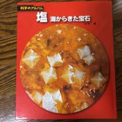 塩 : 海からきた宝石のサムネイル