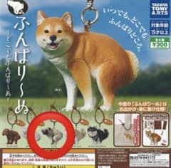 ふんばり〜ぬ ガチャ マスコット パグのサムネイル