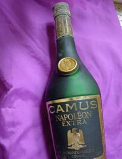 CAMUS NAPOLÉON EXTRA コニャック - メルカリ