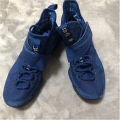 NIKE ナイキ　レブロン14 バッシュ　バスケットシューズのサムネイル