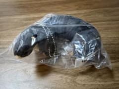 ロングロングダックスフンド　ブラックタンのサムネイル