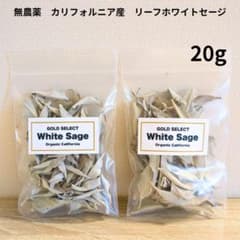 セール☆無農薬ホワイトセージカリフォルニア産リーフ1kg Amazon | 無農薬 ホワイトセージ 枝付き (クラスター) 約100g