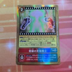デジモンカードゲーム 奇跡の究極騎士　金枠 BT17-09Sのサムネイル