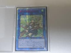 遊戯王 蒼翠の風霊使いウィン 20thのサムネイル