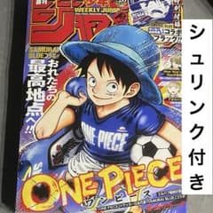 週刊少年ジャンプ 2026年26号 ONE PIECE 新品 シュリンク付き - メルカリ