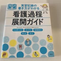 領域別看護過程展開ガイド　成人　老年　小児　母性　精神　実習記録の書き方がわか…のサムネイル