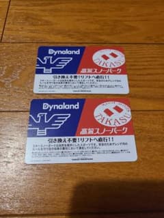 高鷲スノーパーク ダイナランド　共通リフト券 2枚セットのサムネイル