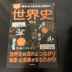 だ*ん様 眠れなくなるほど面白い世界史のサムネイル