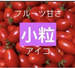 极小粒アイコミニトマト　畑直送のサムネイル