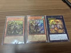 遊戯王 レイズ・ムーンの帳シエロ 他のサムネイル