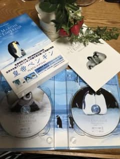 ⭐️ほぼ新品⭐️期間限定　皇帝ペンギン プレミアム・エディション DVD⭐️のサムネイル