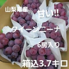 2️⃣5️⃣ 山梨県産 クイーンニーナ 6房入り 箱込3.7キロ - メルカリ