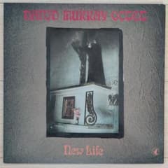 David Murray Octet - New Life レコードのサムネイル