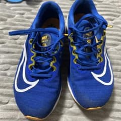 Nike Zoom Fly 5青色スパイクシューズ26.5 - メルカリ