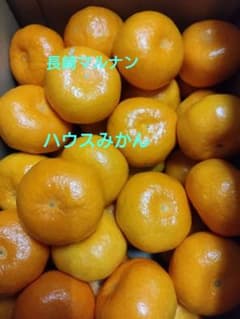 長崎マルナン「ハウスみかん」正味重量‥約5キロ - メルカリ