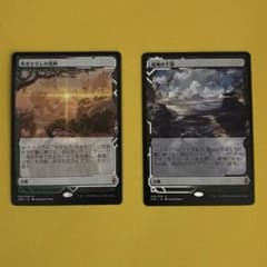 ZNE】ゼンディカーフェッチ 吹きさらしの荒野/湿地の干潟非 FOIL MTG