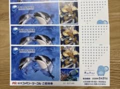 ＊lovergreenさま専用＊ 新江ノ島水族館招待券3枚のサムネイル