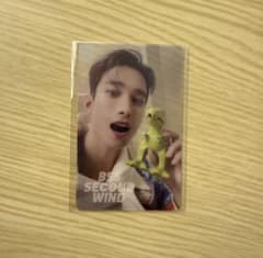 SEVENTEEN ドギョム トレカ BSS SECOND WIND - メルカリ