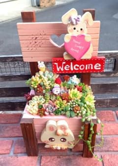 ❤️専用❤️多肉植物❤️そのまま飾れる寄せ植え❤️ハートうさぎちゃん~❤️ ♥多肉植物♥そのまま飾れる寄せ植え♥うさぎちゃんHouse~♥ - メルカリ