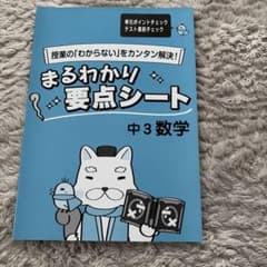 ★中3数学 まるわかり要点シート★のサムネイル