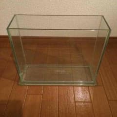 最終値下げ オシャレ ガラス水槽 枠無しのサムネイル