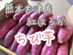 熊本大津産 さつまいも 紅はるか ちびいも 農家直送 安心安全 今季残4箱のサムネイル