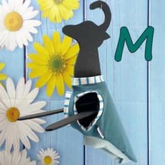 イタグレ服　スライム【アウトレットSALE】のサムネイル