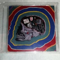 [ディエム様専用]『人間です。』【骸骨盤】【筋肉盤】のサムネイル