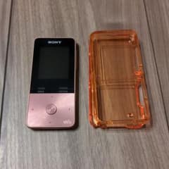 付属品完備　16ギガ　WALKMAN   NW-S315のサムネイル