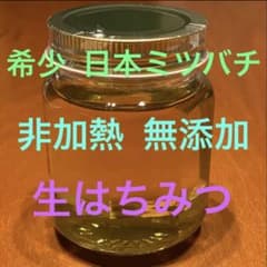 ✨キラキラ✨はちみつ 日本ミツバチ 希少な盛り上げ巣 非加熱生