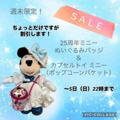 25주년 미니 봉제인형 배지 & 팝콘 버킷 캡슐 토이(미니) 세트